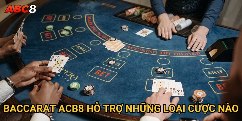 Baccarat tại ACB8 có gì khiến người chơi mê mẩn? 2 Baccarat ACB8 hỗ trợ những loại cược nào?