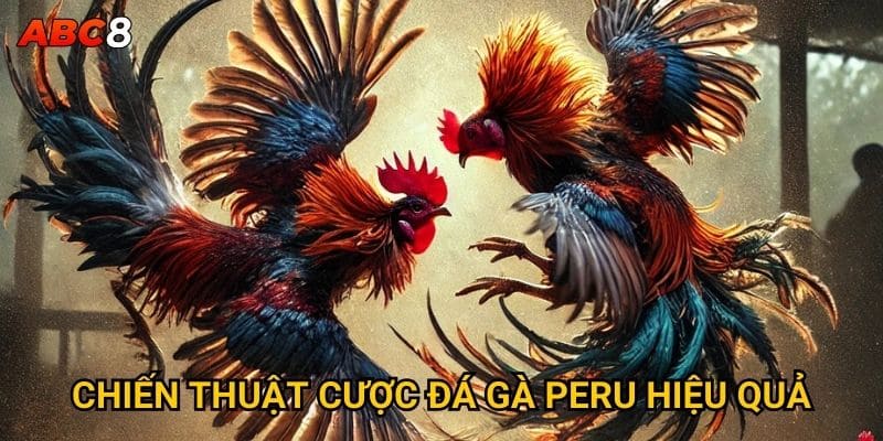 Tại sao đá gà Peru lại thu hút đông đảo người chơi ACB8? 3 Chiến thuật cược đá gà Peru hiệu quả